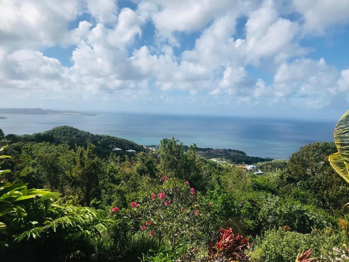 Appartement Prive Eco-Responsable, Vue Sur La Mer Des Caraibes Et Jardin Clos, Wifi, A 2Mn De La Plage Сент-Люс Екстер'єр фото